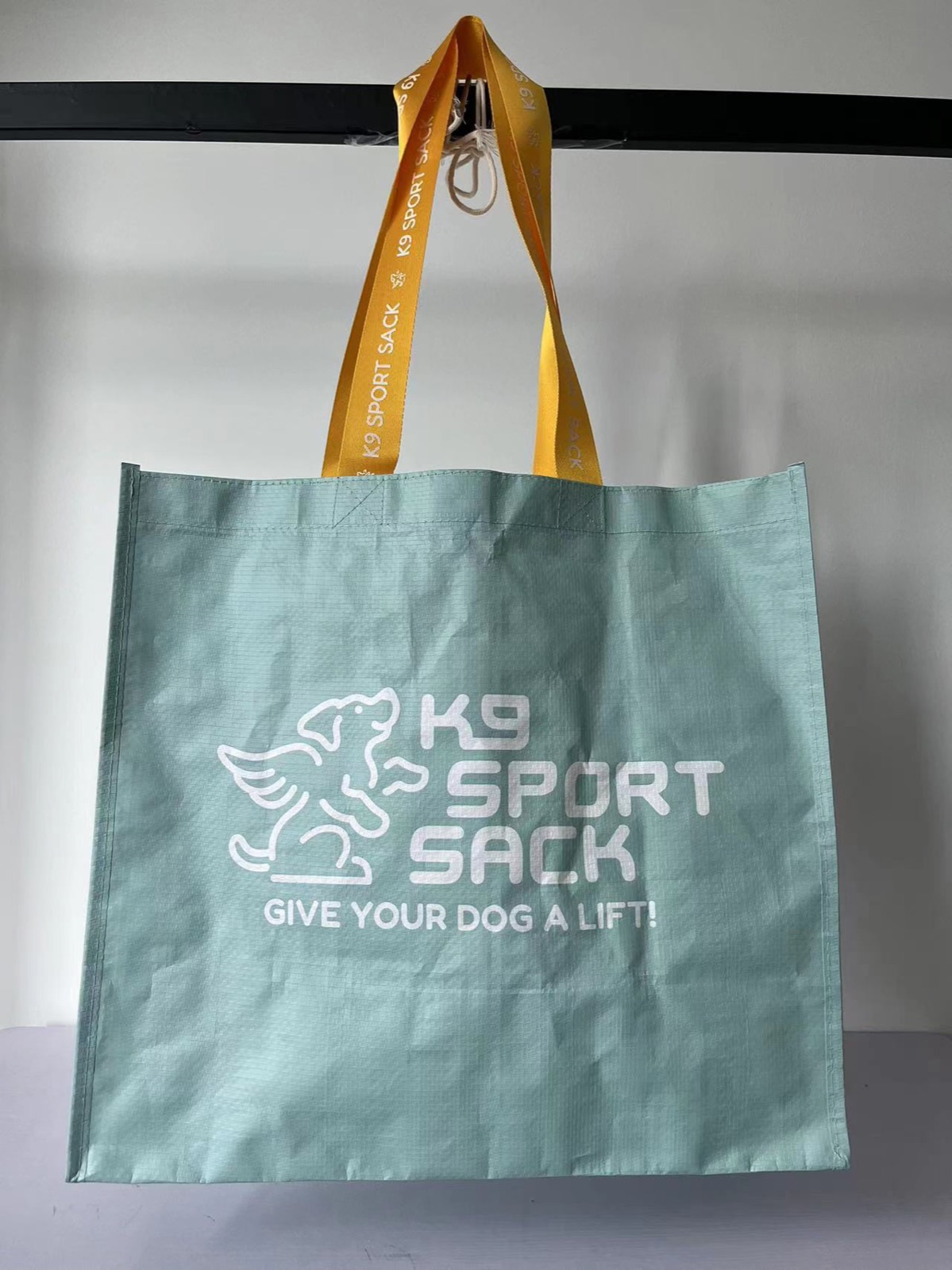 Light blue PP woven shopping bag with custom printed logo